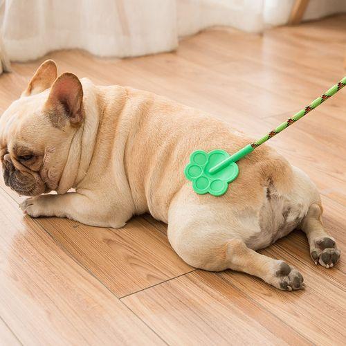 Dog Problem Puppy Soiling CrateLUCKUP